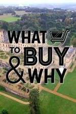 Watch What to Buy & Why 1channel