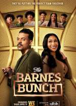 Watch The Barnes Bunch 1channel