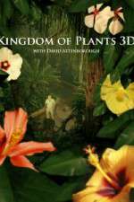 Watch Kingdom of Plants 3D 1channel