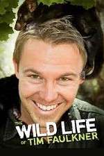 Watch The Wild Life of Tim Faulkner 1channel