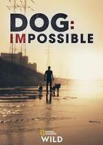 Watch Dog: Impossible 1channel