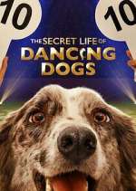 Watch The Secret Life of Dancing Dogs 1channel