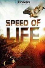 Watch Discovery Channel Speed Of Life 1channel