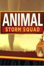 Watch Animal Storm Squad 1channel