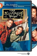 Watch The Wayans Bros 1channel