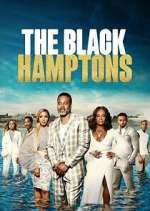 Watch Carl Weber's The Black Hamptons 1channel