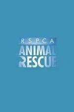 Watch RSPCA Animal Rescue 1channel