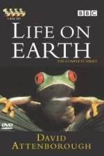 Watch Life on Earth 1channel