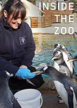 Watch Inside the Zoo 1channel