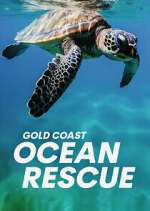 Watch Gold Coast Ocean Rescue 1channel