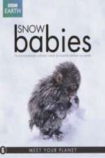 Watch Snow Babies 1channel