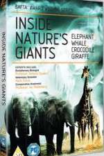 Watch Inside Nature's Giants 1channel