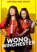 Watch Wong & Winchester 1channel