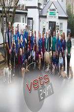 Watch Vets 24/7 1channel