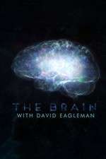 Watch The Brain with Dr David Eagleman 1channel