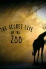 Watch The Secret Life of the Zoo 1channel