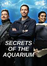 Watch Secrets of the Aquarium 1channel