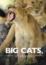 Watch Big Cats, Small World 1channel