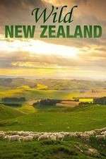 Watch Wild New Zealand 1channel